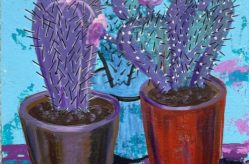 Cacti II-III