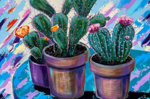 Cacti – III