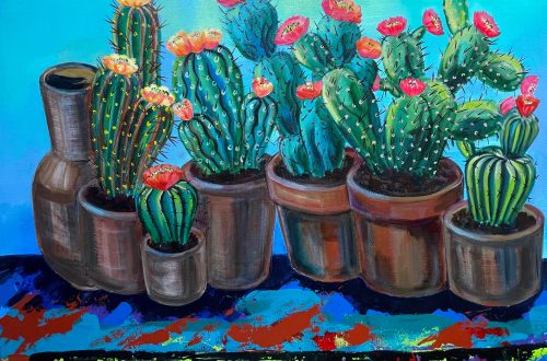 Cacti and terracotta pots