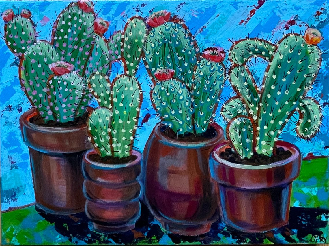 Cacti. Collection
