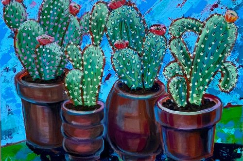 Cacti. Collection