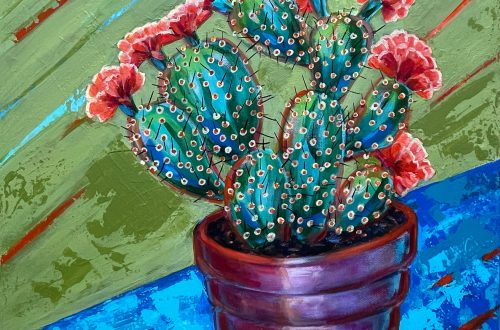 Cactus in the burgundy pot