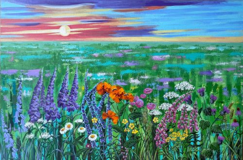 Summer meadow before sunset