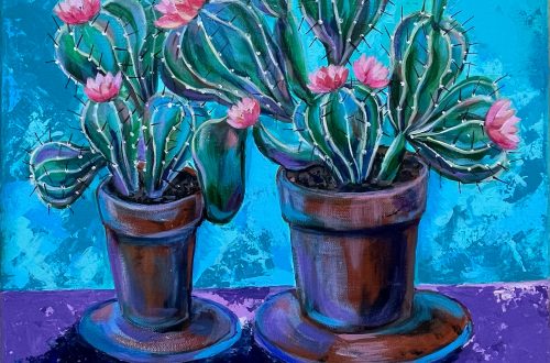 Two cacti. Flowering